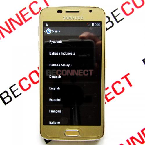 Samsung Galaxy S6 mini Gold
